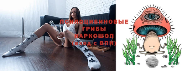 гидра Армянск