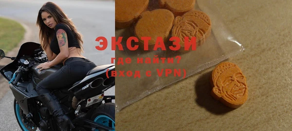 дживик Анжеро-Судженск