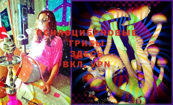 дживик Балахна