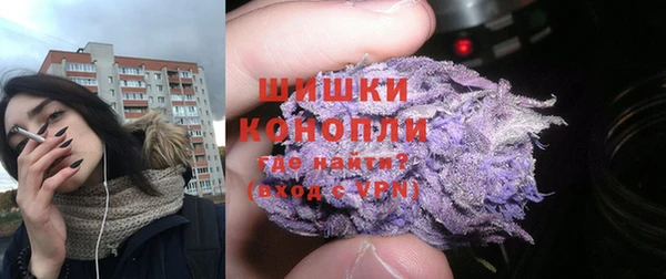 ешки Аркадак